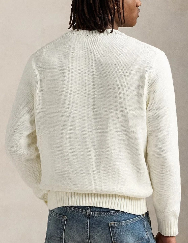 Men's Sweater | Blue Polo Bear
